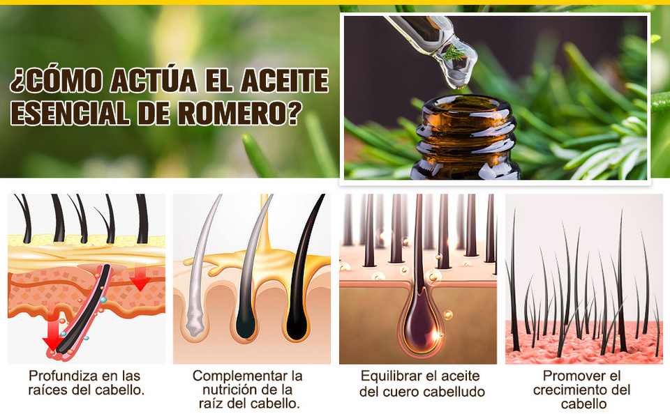“Aceite de Romero con Biotina – Crecimiento Capilar Natural y Eficaz”